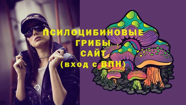 эйфоретик Медногорск