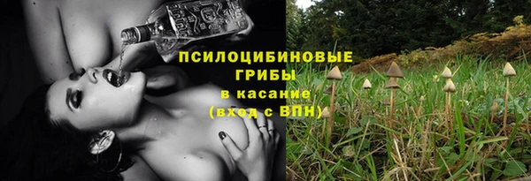 ешки Михайлов