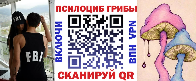 где продают наркотики  Нариманов  сайты даркнета Telegram  Псилоцибиновые грибы прущие грибы 