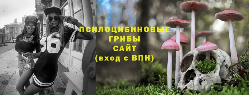 Псилоцибиновые грибы Magic Shrooms  Нариманов 